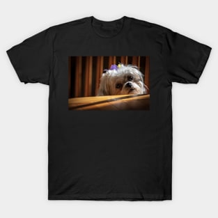 Patience T-Shirt